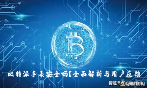 比特派手表安全吗？全面解析与用户反馈